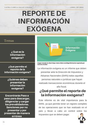 REPORTE DE INFORMACIÓN EXÓGENA