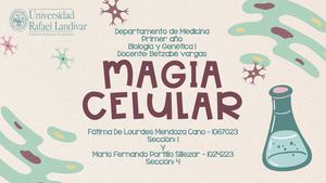 MAGIA CELULAR - PORTAFOLIO 2023
