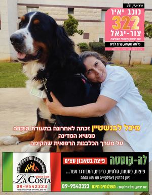 עיתון כוכב יאיר צור יגאל גליון 322