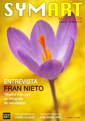SYMART MAGAZINE Nº 36