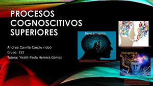 Procesos Cognoscitivos Superiores