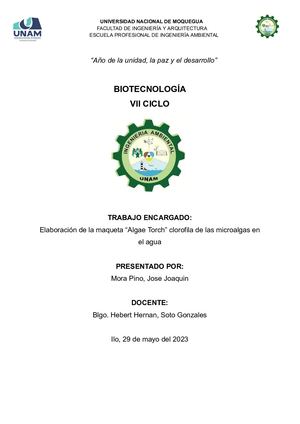 Trabajo Final Elaboracion De La Maqueta Algaetorch