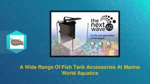 A Wide Range Of Fish Tank Accessories At Marine World Aquatics