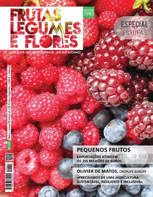 ED.241 MAIO 2023