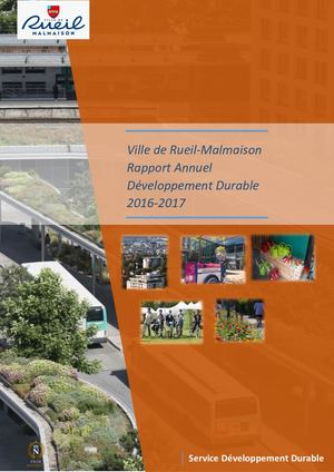 Rapport Dd 2016 2017