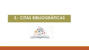 Citas Bibliograficas