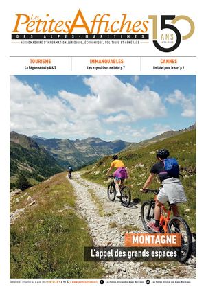 4128 PETITES AFFICHES