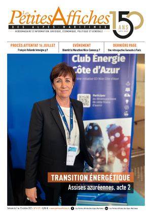 4137 PETITES AFFICHES