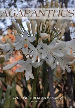 Libro Anatomía. Agapanthus