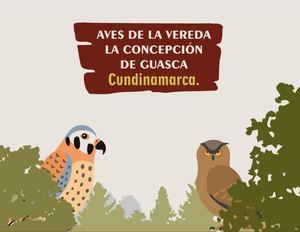 Aves de La Vereda La Concepción de Guasca, Cundinamarca Pptx