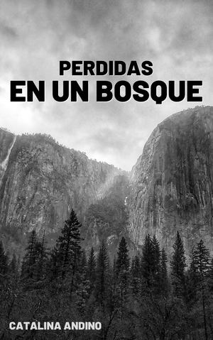 Portada Para Libro Novela Terror Profesional Negro (1)
