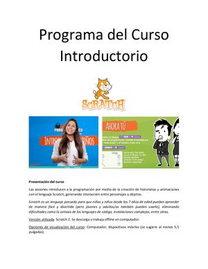Programa Curso Introductorio