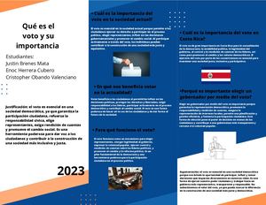 Qué es el voto y su importancia