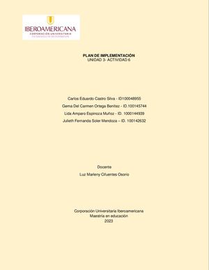 IMPLEMENTACION DEL PLAN DE FLEXIBILIDAD CURRICULAR