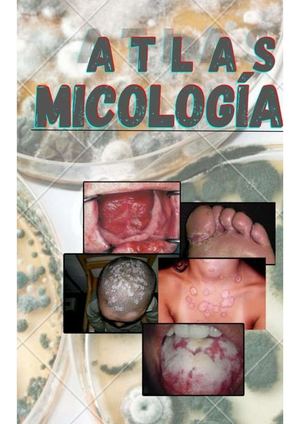 Atlas Micologia