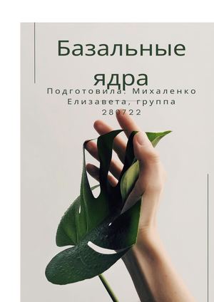 Базальные ядра