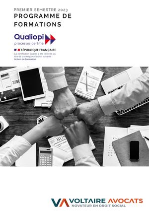 Catalogue de formations - Voltaire Avocats