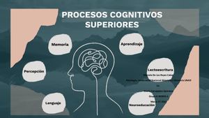 Procesos Cognitivos Superiores