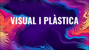 Visual I Plastica (3)