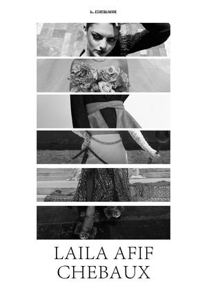 Portfolio Laila Afif Chebaux