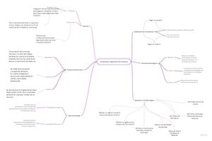 Mapa Mental Constitucion Y Legalizacion DE UNA Empresa