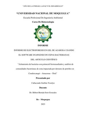 Simulación De Electroforesis En Gel De Agarosa