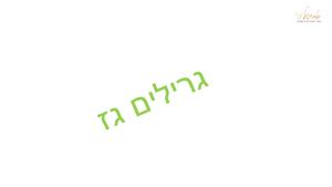 קטלוג המוצרים של אביגיל כלים נאים