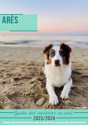 Guide Des Vacances Au Poil