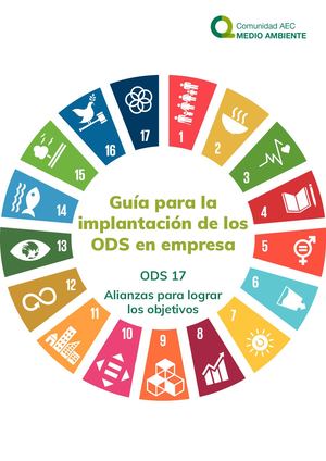Guía para la implantación de los ODS en empresa ODS 17