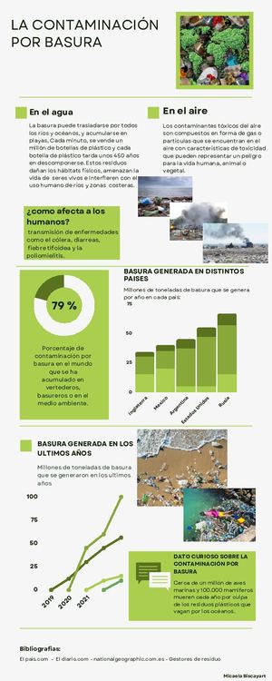 Infografía La Contaminación Por Basura