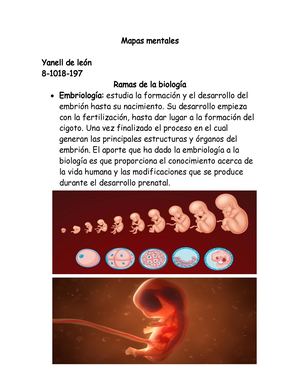Mapas Mentales Biologia 1
