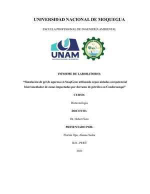 Informe De Electroforesis En Gel De Agarosa