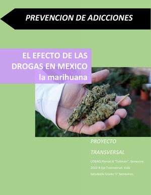 EL EFECTO DE LAS  DROGAS EN MEXICO