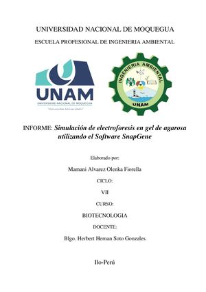 Simulación De Electroforesis En Gel De Agarosa Utilizando El Software Snap Gene