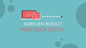 Pressbook Aurélien Bodiot