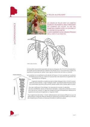 Arbres A Pollen Allergisant