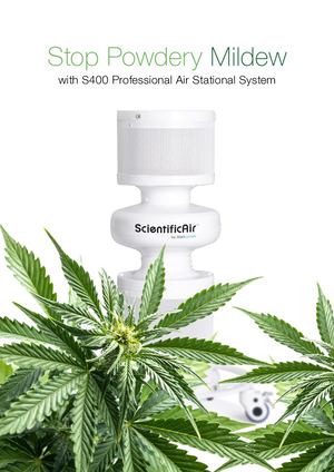 EN S400 Flyer Cannabis P4 RGB