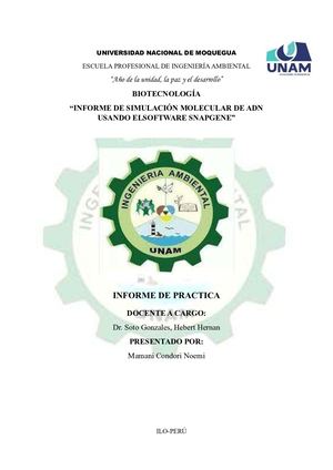 Informe De Simulación Molecular De Adn Usando Elsoftware Snapgene