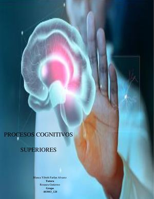 Procesos Cognitivos Superiores