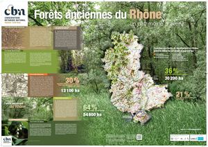 Poster Forêts Anciennes Rhône 2021