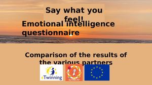 Análise Do Questionário Parceiros