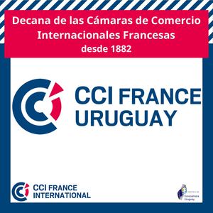 Brochure Ccifuy 2023