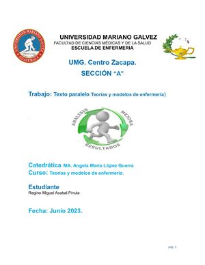 Teorias Y Modelos De Enfermeria 2023