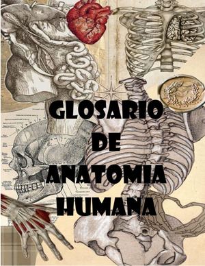 Glosario Final