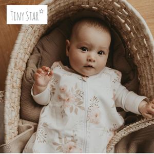 Catalog 2022 Tiny Star