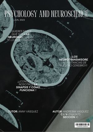 Mecanismos De Transmisión Neuronal