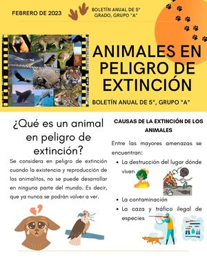 ANIMALES EN PELIGRO DE EXTINCIÓN