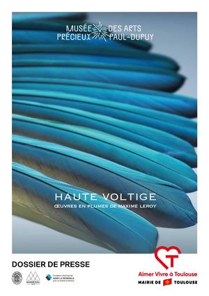 Dossier de presse - HAUTE VOLTIGE