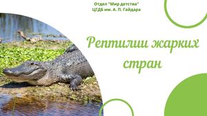 Рептилии жарких стран