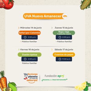 Programacion VacAcciones